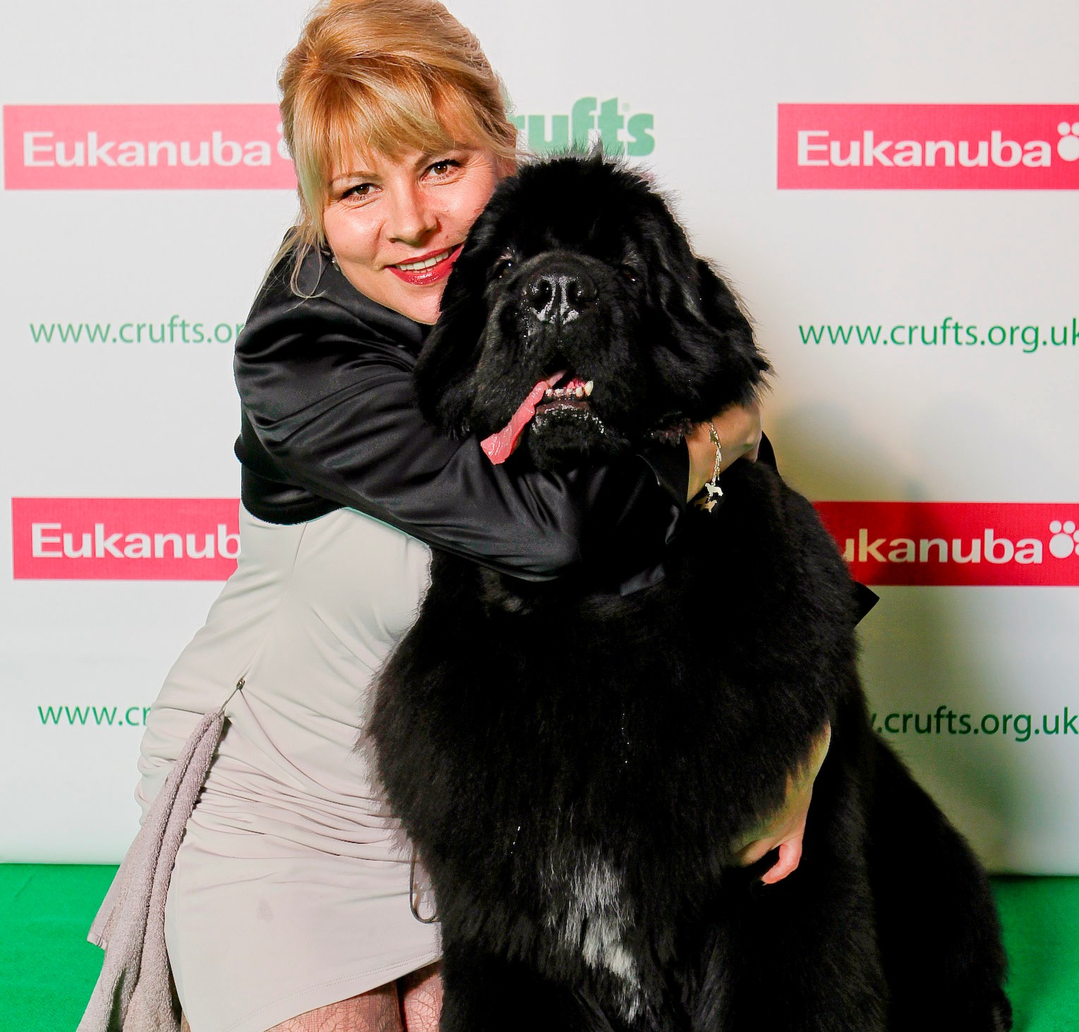 crufts newfoundland