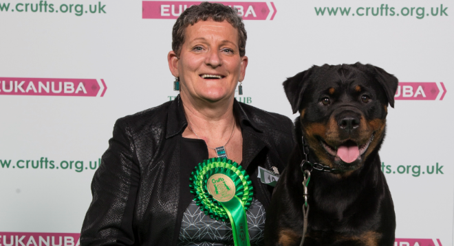 Crufts rottweiler shop