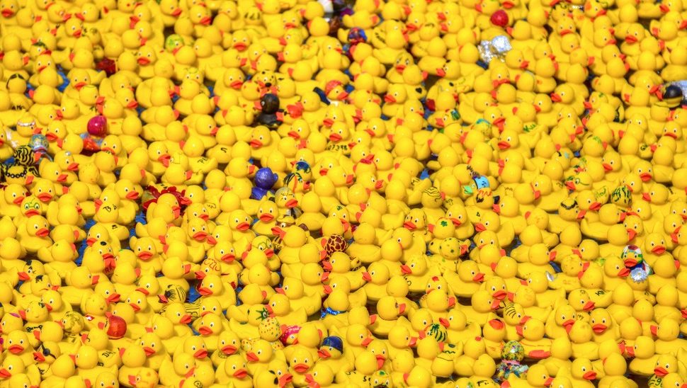 charity rubber ducks