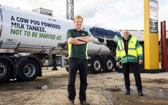 cow power ian and adrian of arla