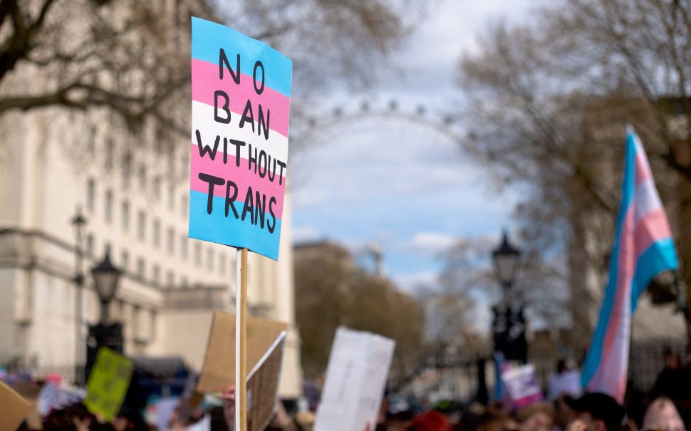 Photograph of a protest placard with the transgender pride flag and writing that says 'No ban without trans' in black text. The background shows the London Eye in the distance.