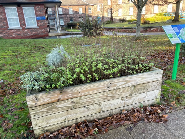 Herb planter in the Green Health Walk