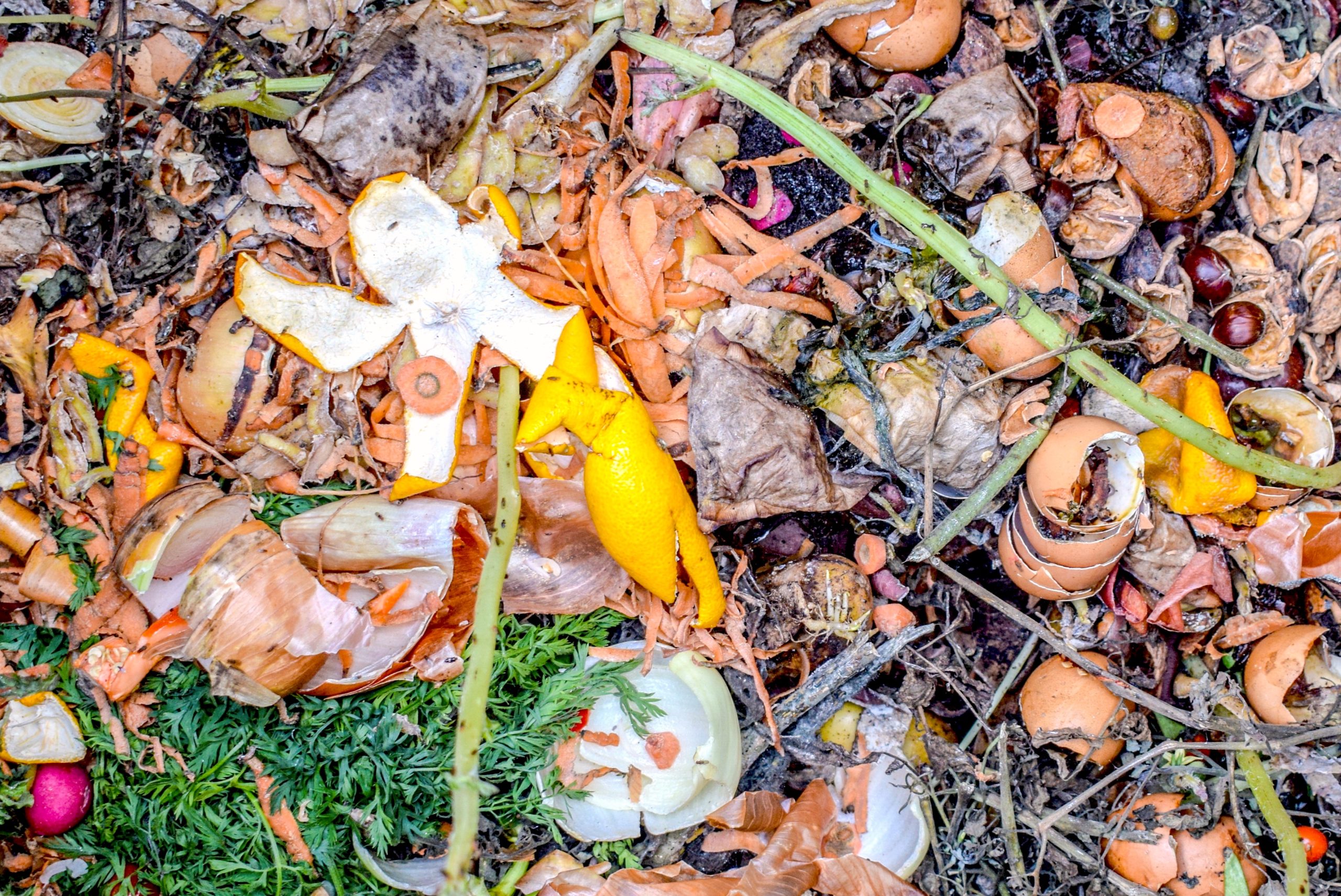What food do we waste most of in Manchester? - Mancunian Matters - Vimarsana News