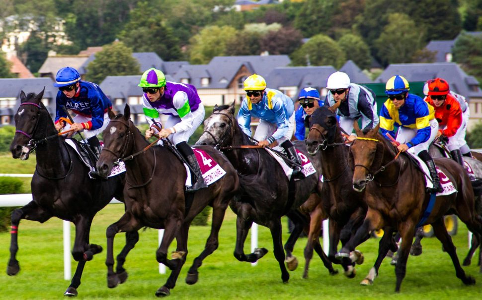 Horse racing (Credit: Free to use from Unsplash)